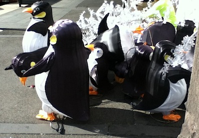 The turmoil of freedom hit the penguins hard
