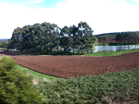 ploughed chocolate soil
